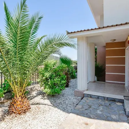 Maya The Royal Links Willa Sarıgerme