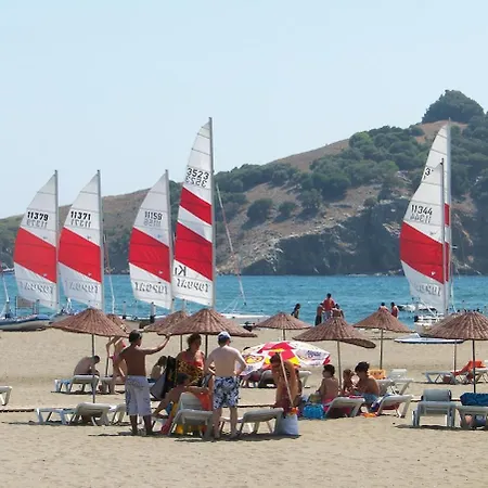 Maya The Royal Links Willa *