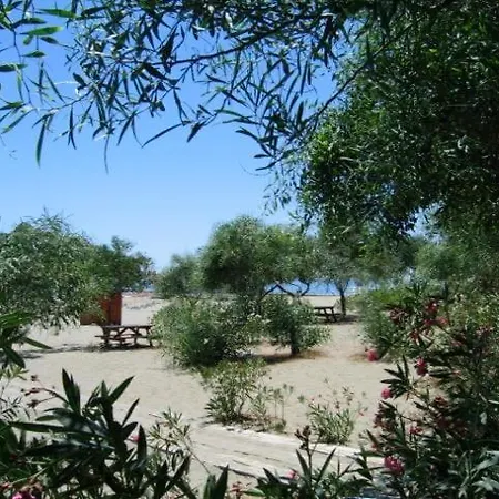 Maya The Royal Links Willa