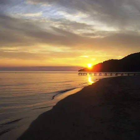 Maya The Royal Links Sarıgerme