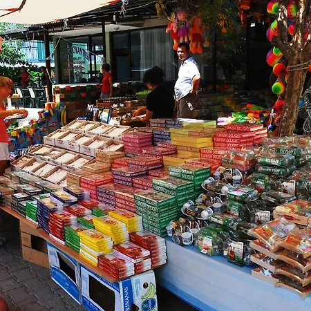 Willa Maya The Royal Links