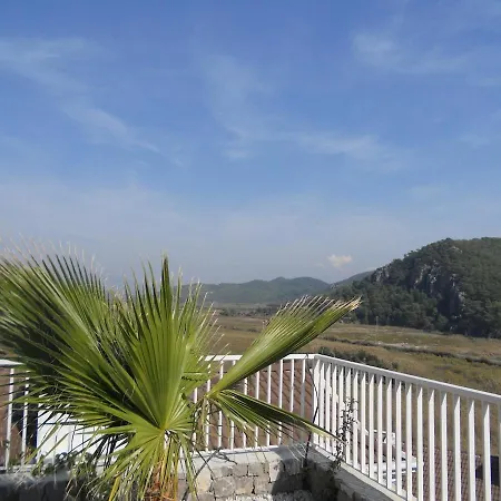 Maya The Royal Links