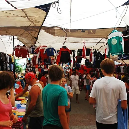 Maya The Royal Links *