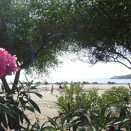 Maya The Royal Links * サルゲルメ