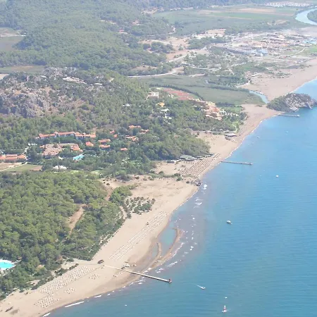 Maya The Royal Links * サルゲルメ