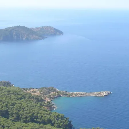 Maya The Royal Links