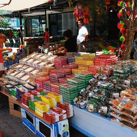 Maya The Royal Links * サルゲルメ