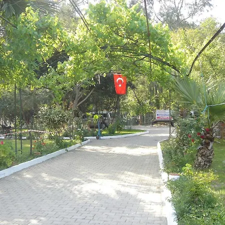 Maya The Royal Links * サルゲルメ