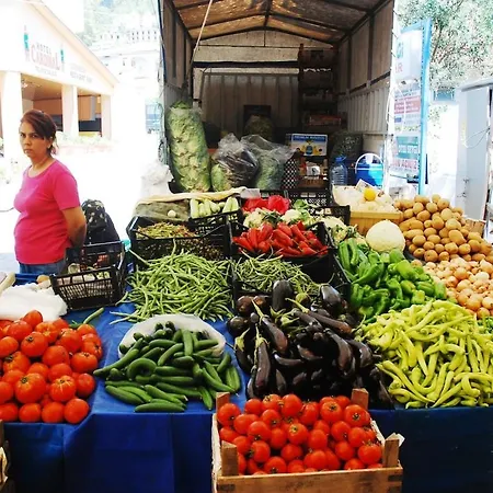 Maya The Royal Links